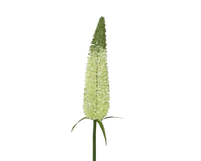 Kunstblume PUSCHEL