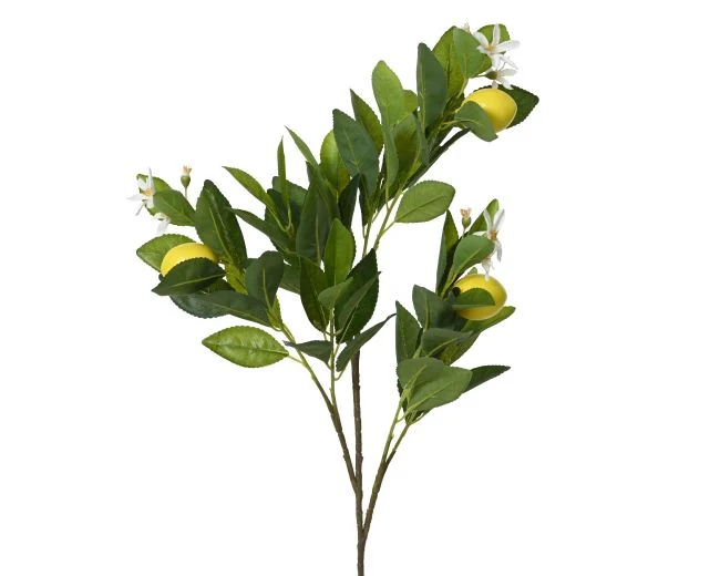 Dekozweig ZITRONE