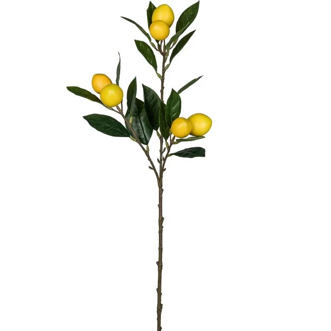 Zitronenzweig FRUITS