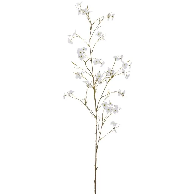 Cornuszweig REAL TOUCH