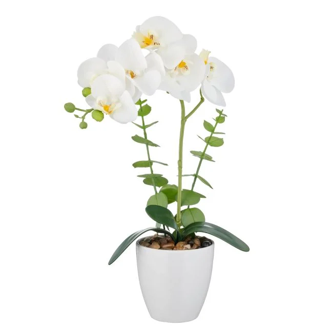 Orchidee im Topf REAL TOUCH