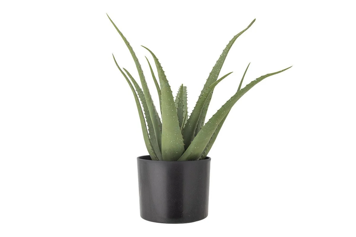 Kunstpflanze Aloeve - Höhe 61 cm